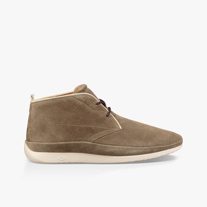 Ugg Cali Chukka Stövlar Herr Bruna (591748EKG)